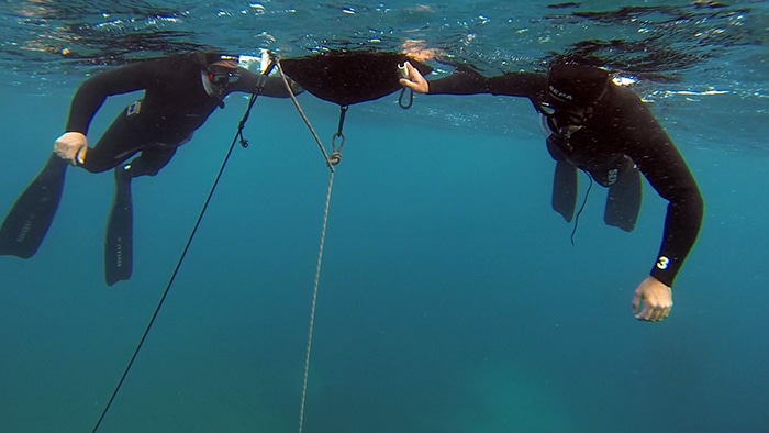 avidag freedive 1 25-1-2014