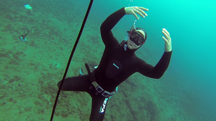 avidag freedive 3 25-1-2014