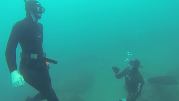 avidag freedive 6 26-1-2014