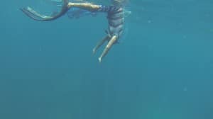 freedive avidag corse 15