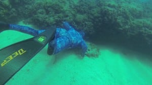 freedive avidag corse 27