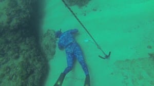 freedive avidag corse 29
