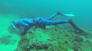 freedive avidag corse 32