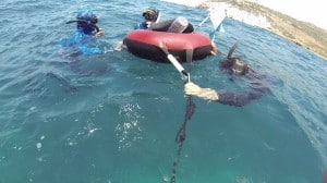 freedive avidag corse 37