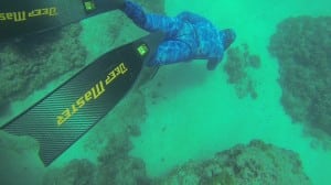 freedive avidag corse 38