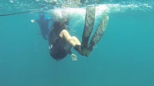 freedive avidag corse 44