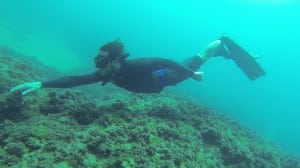 freedive avidag corse 47