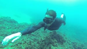 freedive avidag corse 48