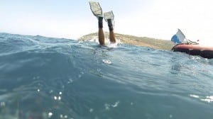 freedive avidag corse 49