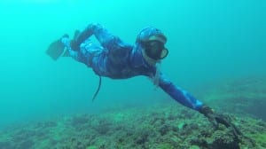 freedive avidag corse 51