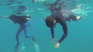 freedive avidag corse 53