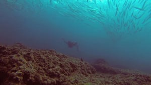 avidag freediving course l2-11