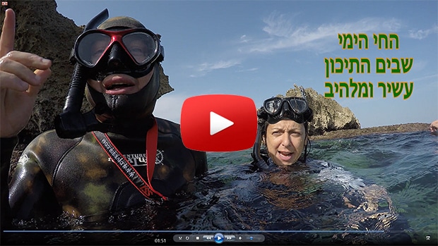 snorkelogy-avidag-israel