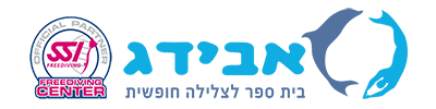 אבידג צלילה חופשית